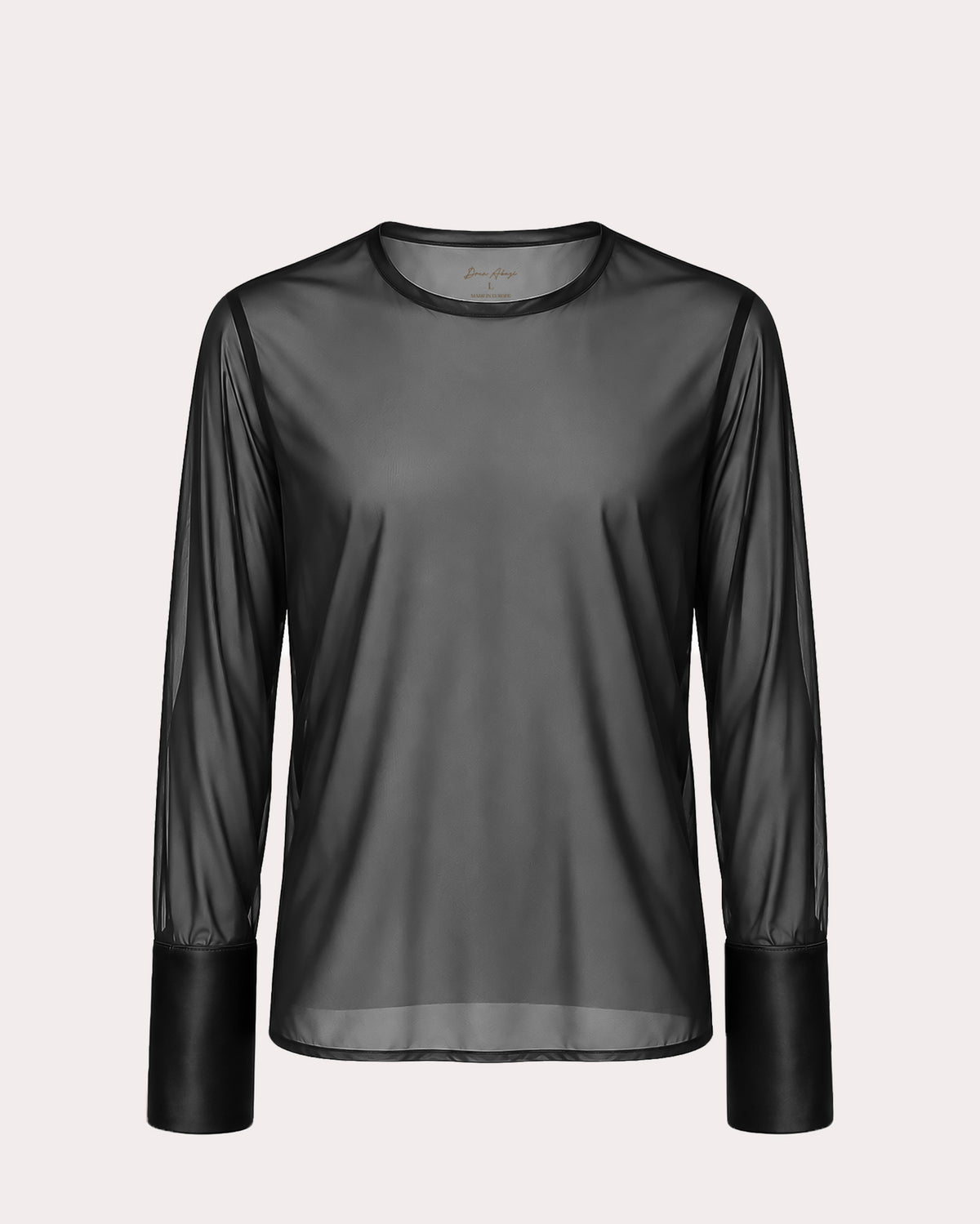 Long-Sleeved Sheer Shirt