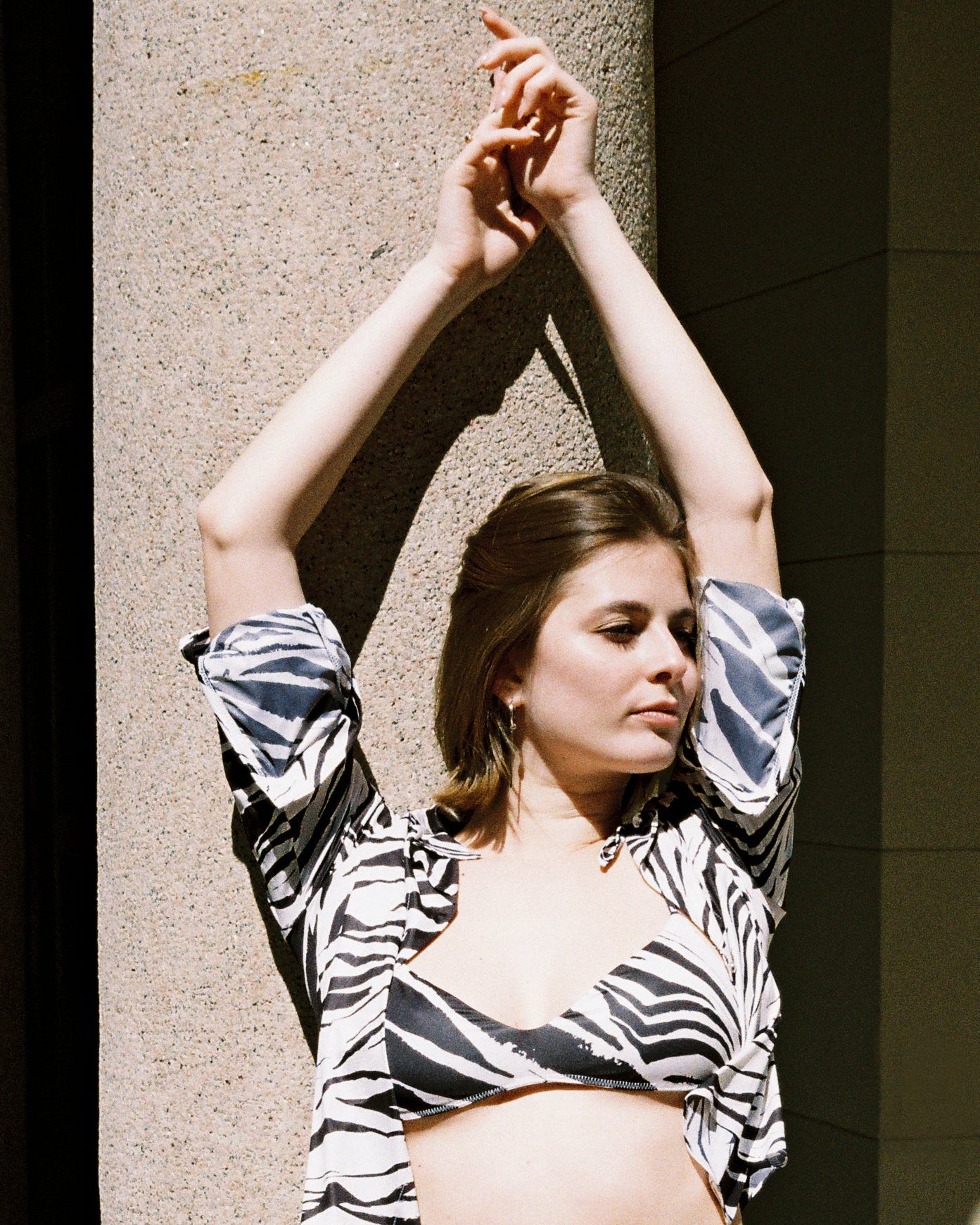 Sherry Zebra Bikini Set